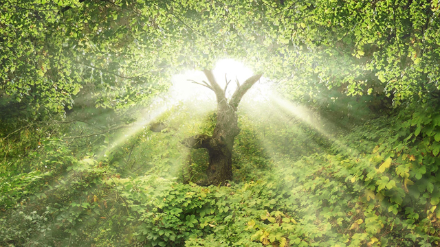 14-10-13-michael-berg-in-the-middle-of-the-garden-of-eden