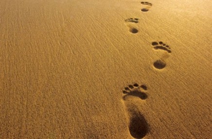 footsteps-660-jpg1-624x409