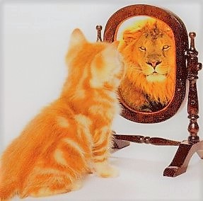 lionmirror4
