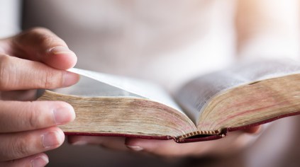 how-to-study-the-bible